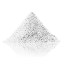 Silica Powder A60 Cement 1 Sak Isi 10kg